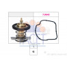Thermostat d'eau FACET
