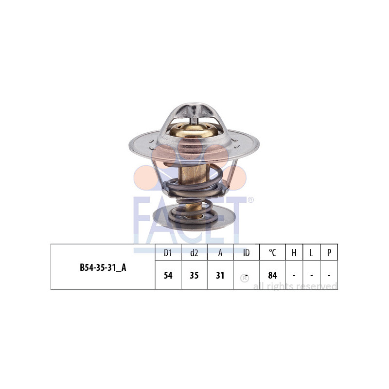 Thermostat d'eau FACET