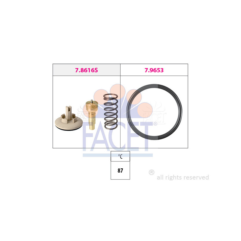 Thermostat d'eau FACET