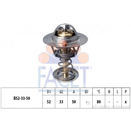 Thermostat d'eau FACET