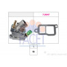 Thermostat d'eau FACET