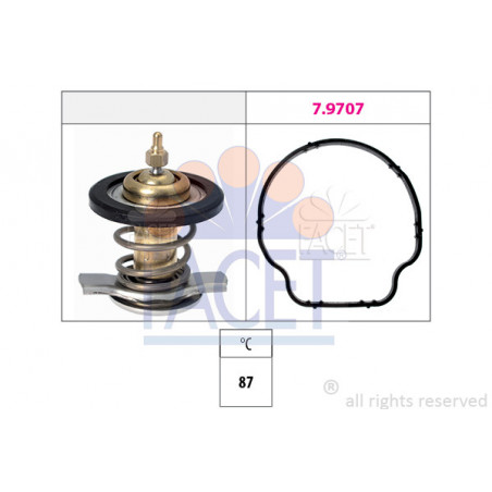 Thermostat d'eau FACET