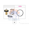 Thermostat d'eau FACET