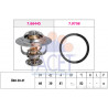 Thermostat d'eau FACET