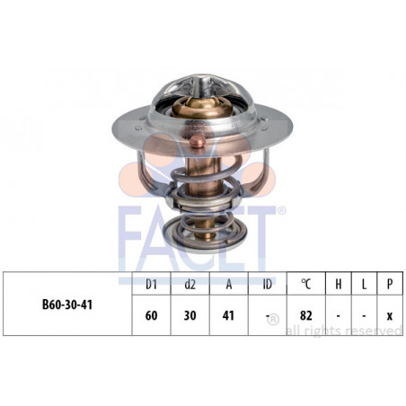 Thermostat d'eau FACET