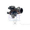 Thermostat d'eau FACET