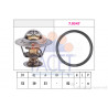 Thermostat d'eau FACET