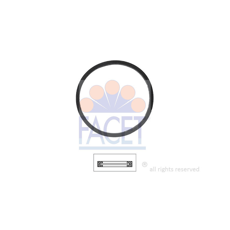 Joint d'étanchéité du thermostat FACET