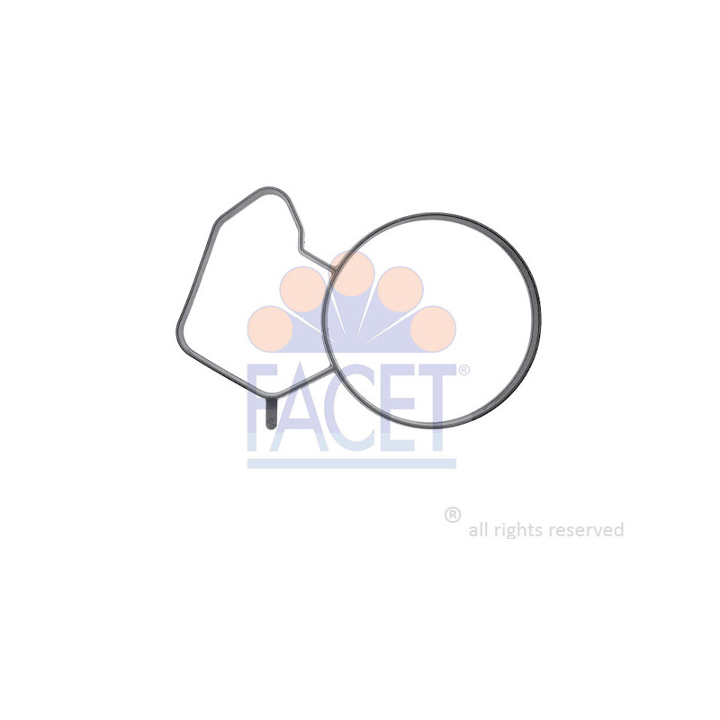 Joint d'étanchéité du thermostat FACET