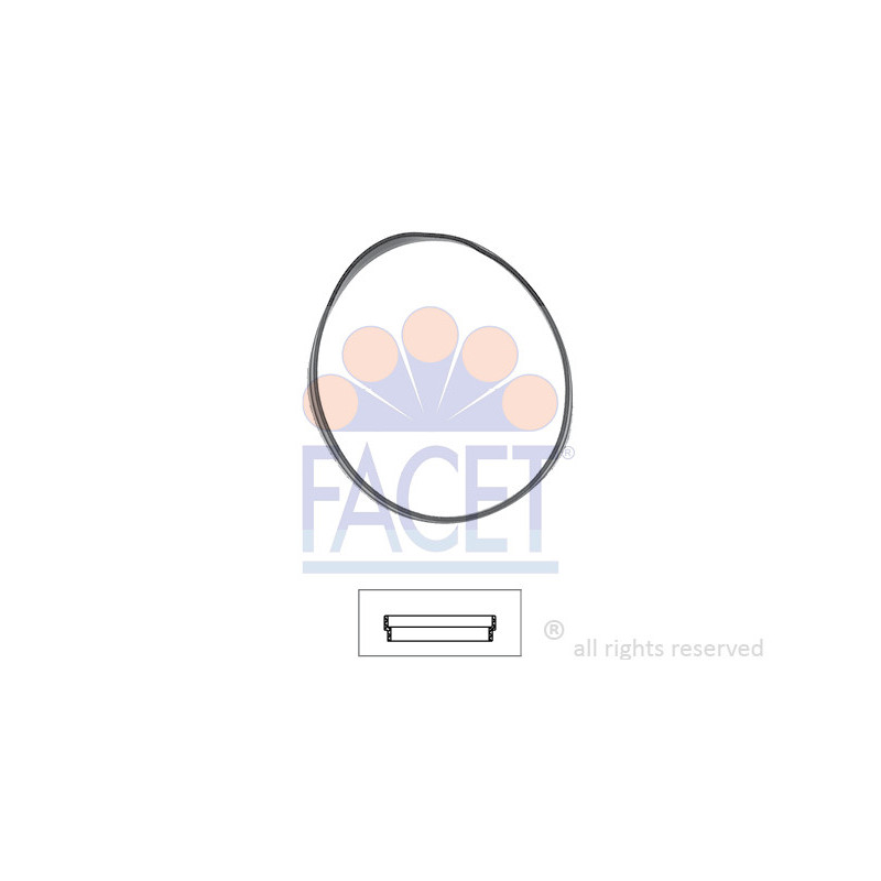 Joint d'étanchéité du thermostat FACET