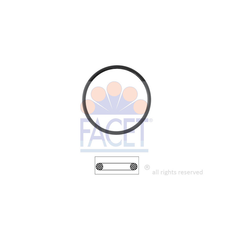 Joint d'étanchéité du thermostat FACET