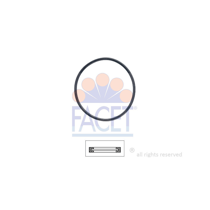 Joint d'étanchéité du thermostat FACET