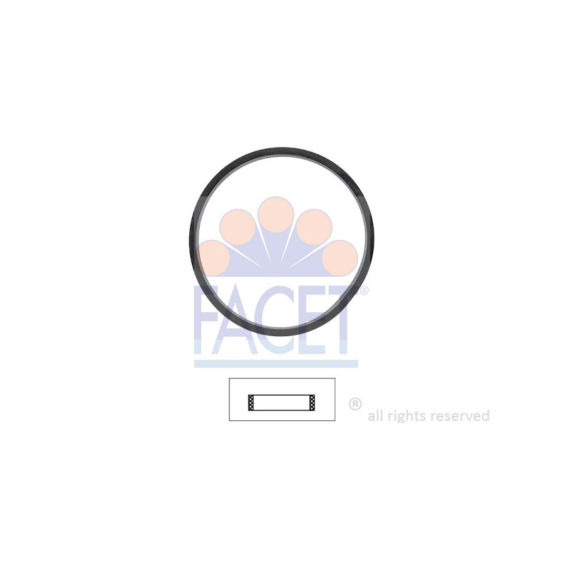 Joint d'étanchéité du thermostat FACET