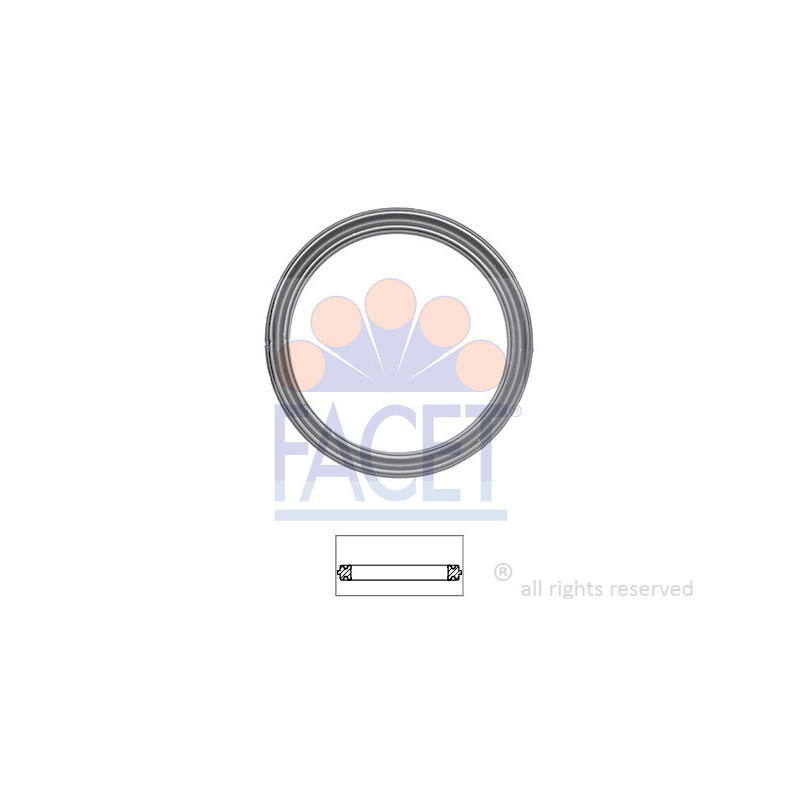 Joint d'étanchéité du thermostat FACET