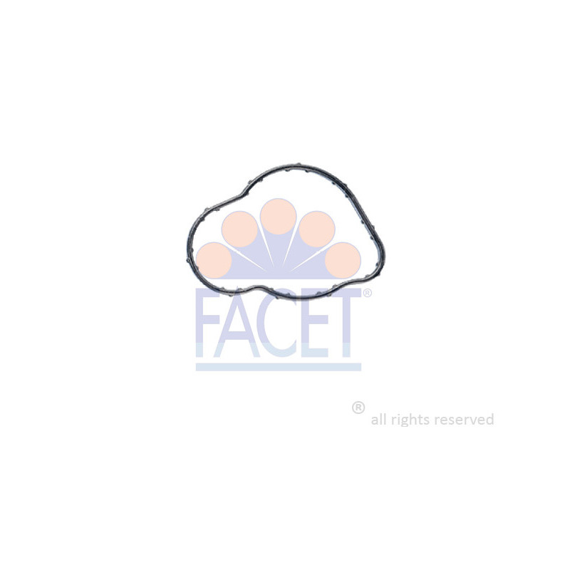 Joint d'étanchéité du thermostat FACET