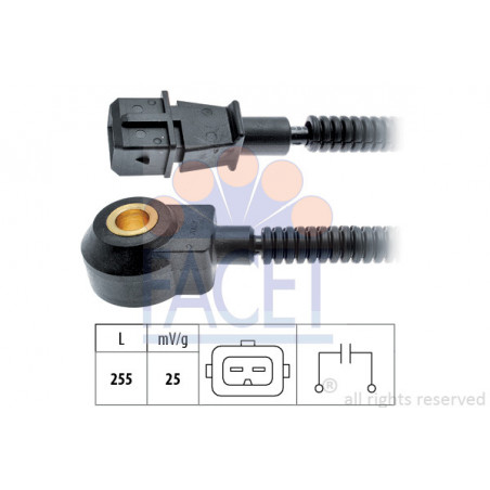 Capteur de cognement FACET