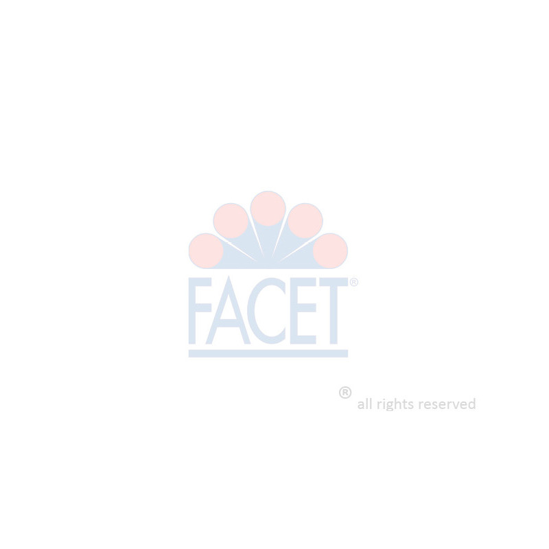 Bobine d'allumage FACET