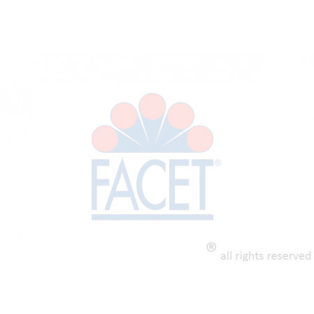 Bobine d'allumage FACET