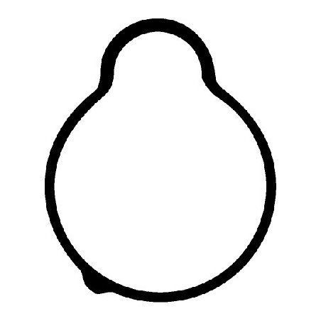 Joint d'étanchéité (collecteur d'admission) CORTECO