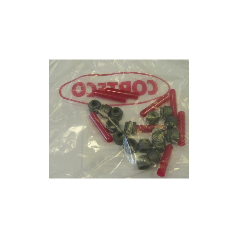 Jeu de joints d'étanchéité (tige de soupape) CORTECO