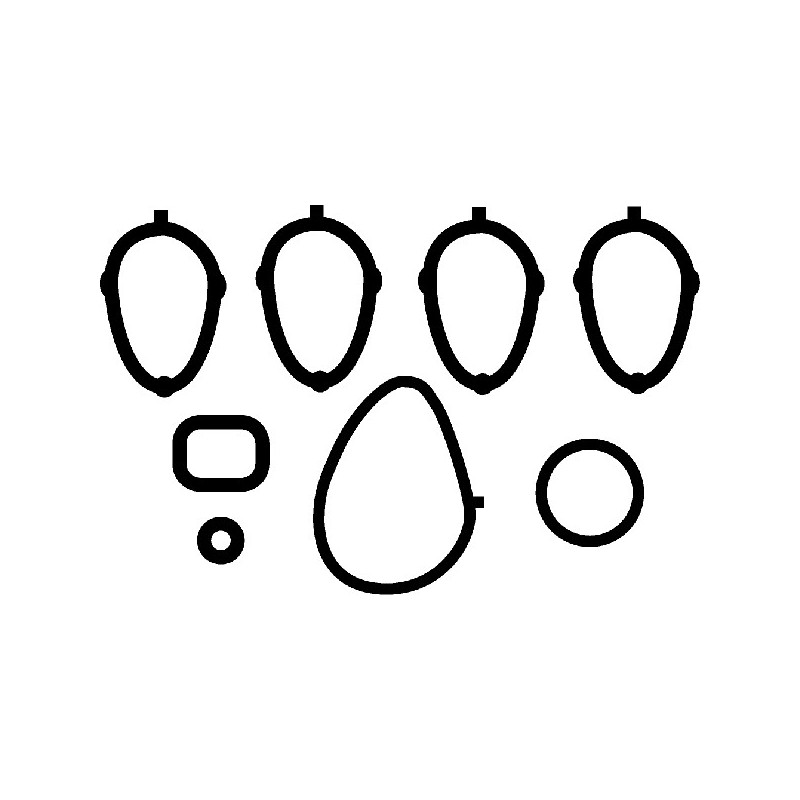 Joint d'étanchéité (collecteur d'admission) CORTECO