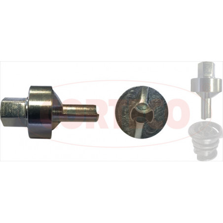 sans-categorie CORTECO