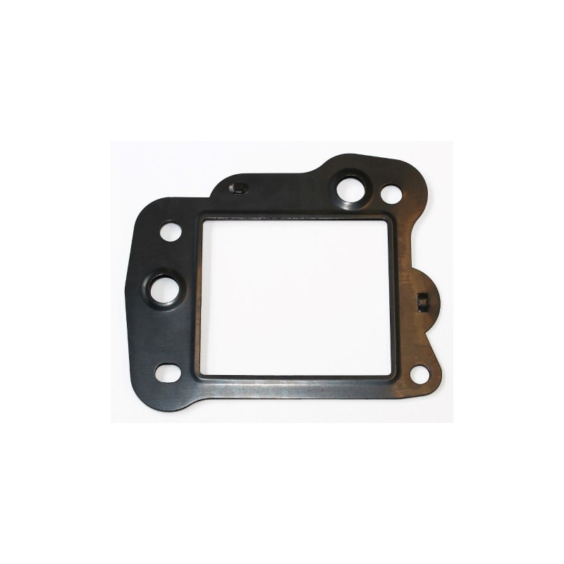 Joint (vanne EGR / AGR) ELRING