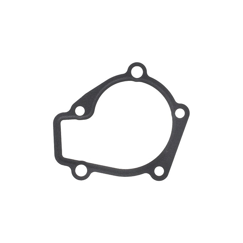 Joint d'étanchéité (pompe à eau) ELRING