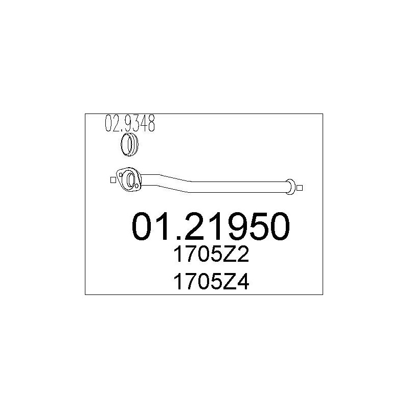 Tuyau d'échappement MTS