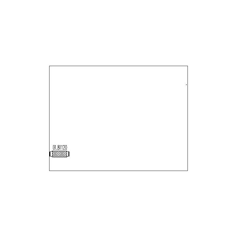 Tuyau flexible (échappement) MTS