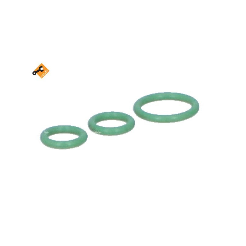 Bouteille déshydratante NRF