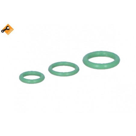 Bouteille déshydratante NRF