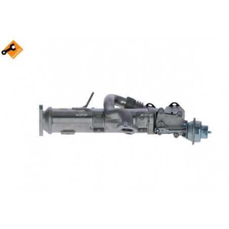 Radiateur (réaspiration des gaz d'échappement) NRF