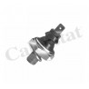 Pressostat d'huile CALORSTAT by Vernet