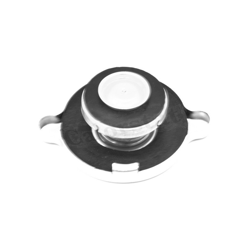 Bouchon de radiateur CALORSTAT by Vernet