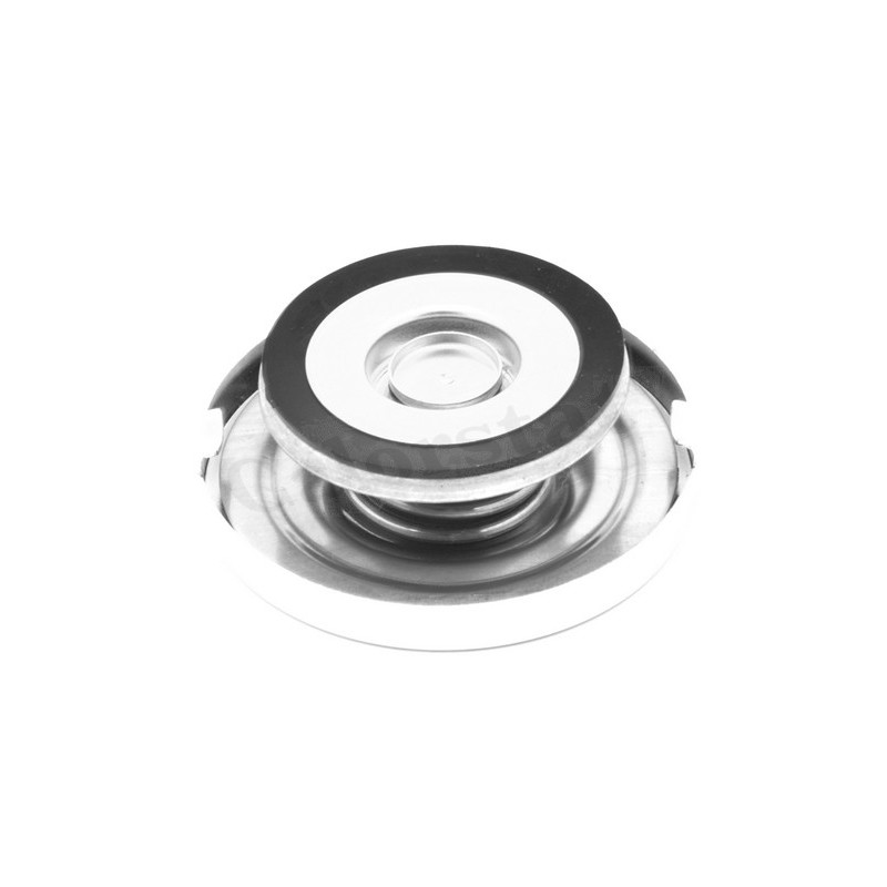 Bouchon de radiateur CALORSTAT by Vernet