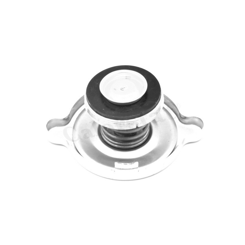 Bouchon de radiateur CALORSTAT by Vernet