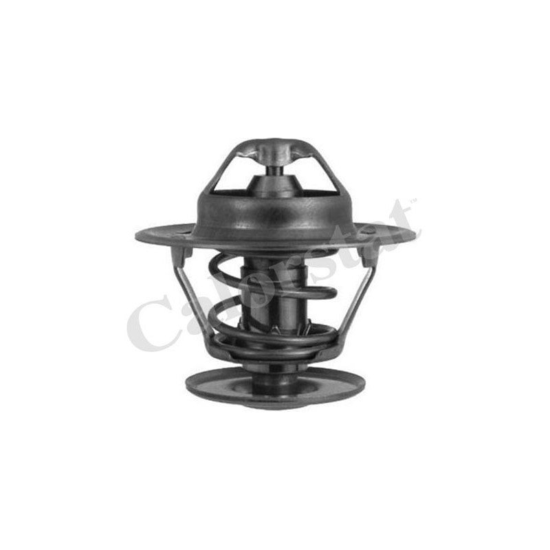 Thermostat d'eau CALORSTAT by Vernet