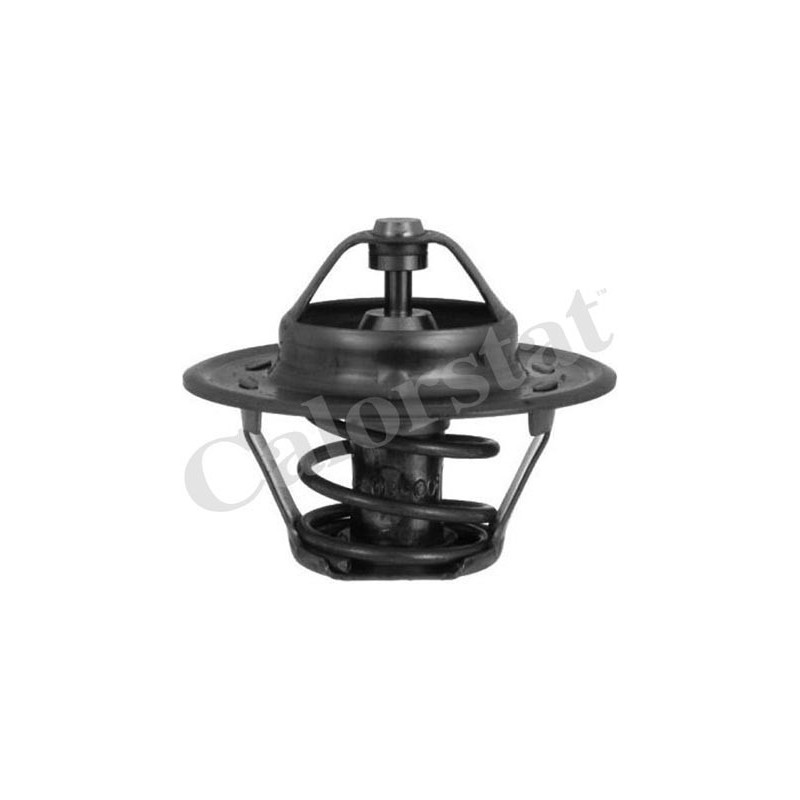 Thermostat d'eau CALORSTAT by Vernet