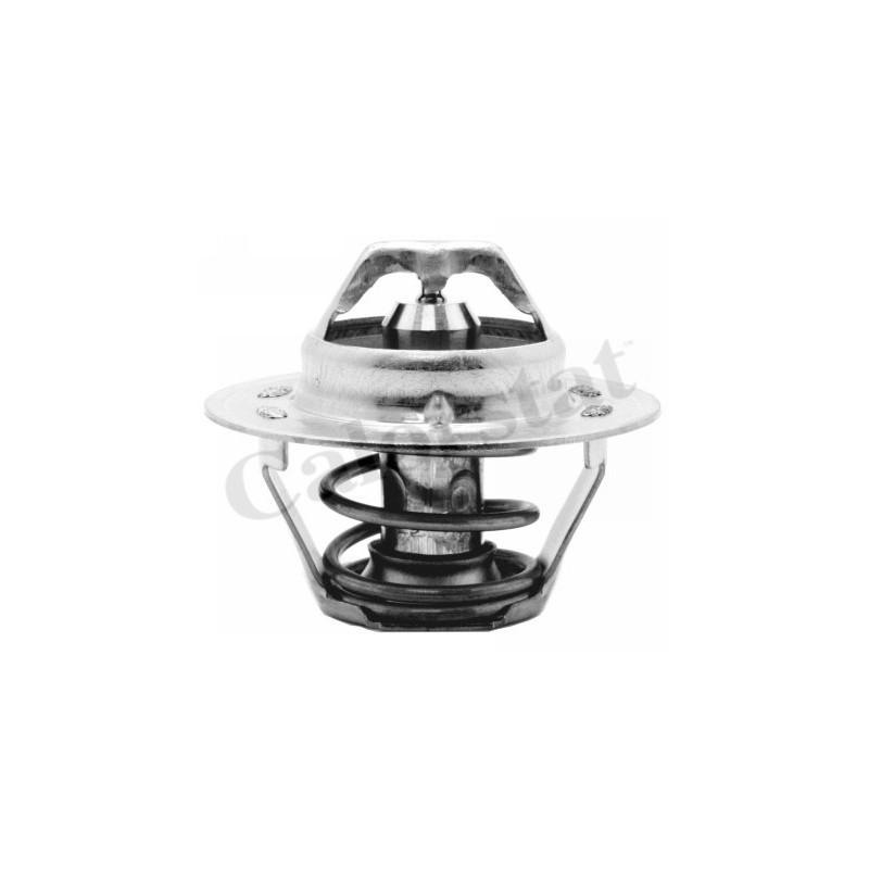 Thermostat d'eau CALORSTAT by Vernet