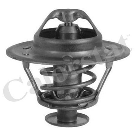 Thermostat d'eau CALORSTAT by Vernet