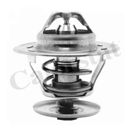 Thermostat d'eau CALORSTAT by Vernet