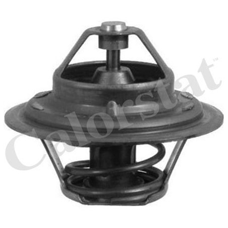 Thermostat d'eau CALORSTAT by Vernet