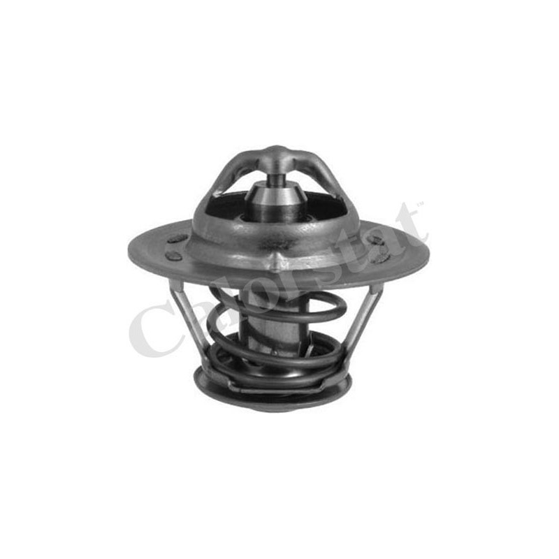 Thermostat d'eau CALORSTAT by Vernet