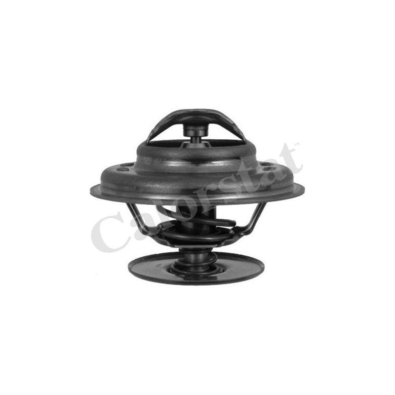 Thermostat d'eau CALORSTAT by Vernet