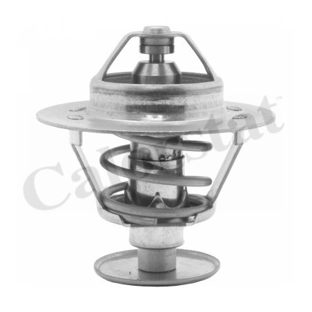 Thermostat d'eau CALORSTAT by Vernet