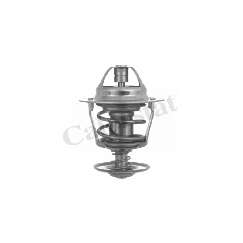 Thermostat d'eau CALORSTAT by Vernet