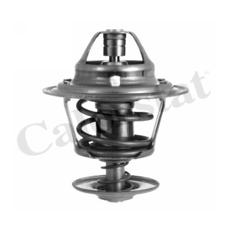 Thermostat d'eau CALORSTAT by Vernet