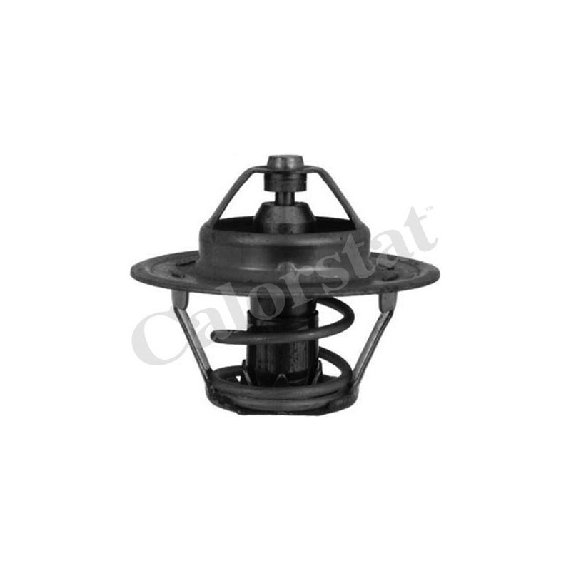 Thermostat d'eau CALORSTAT by Vernet