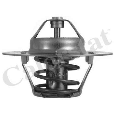 Thermostat d'eau CALORSTAT by Vernet